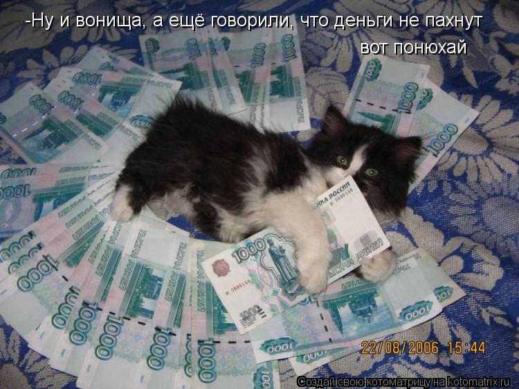 Котоматрица: -Ну и вонища, а ещё говорили, что деньги не пахнут вот понюхай