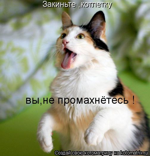 Закиньте ,котлетку вы,не промахнётесь !... Котоматрица: Закиньте ,котлетку вы,не промахнётесь !