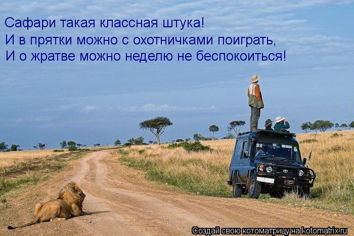 Сафари такая классная штука! И в прятки можно с охотничками поиграть, И о жратве можно неделю не бесп... Котоматрица: Сафари такая классная штука! И в прятки можно с охотничками поиграть, И о жратве можно неделю не беспокоиться!
