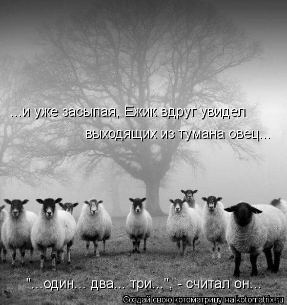 выходящих из тумана овец... "...один... два... три...", - считал он... ...и уже засыпая, Ежик вдруг у... Котоматрица: выходящих из тумана овец... "...один... два... три...", - считал он... ...и уже засыпая, Ежик вдруг увидел