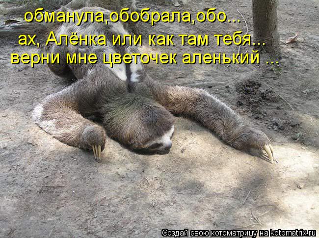 ах, Алёнка или как там тебя... верни мне цветочек аленький ... обманула,обобрала,обо...... Котоматрица: ах, Алёнка или как там тебя... верни мне цветочек аленький ... обманула,обобрала,обо...