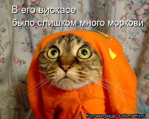 В его вискасе было слишком много моркови... Котоматрица: В его вискасе было слишком много моркови