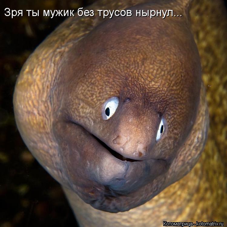 Зря ты мужик без трусов нырнул...... Котоматрица: Зря ты мужик без трусов нырнул...