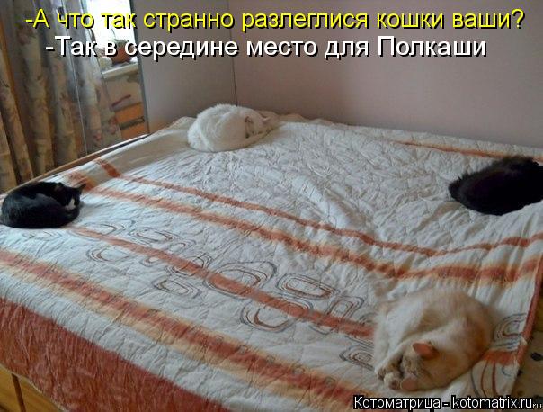 -А что так странно разлеглися кошки ваши? -Так в середине место для Полкаши... Котоматрица: -А что так странно разлеглися кошки ваши? -Так в середине место для Полкаши