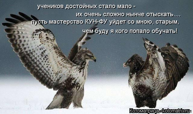 учеников достойных стало мало - пусть мастерство КУН-ФУ уйдет со мною, старым, чем буду я кого попал... Котоматрица: учеников достойных стало мало - пусть мастерство КУН-ФУ уйдет со мною, старым, чем буду я кого попало обучать! их очень сложно нынче отыскат