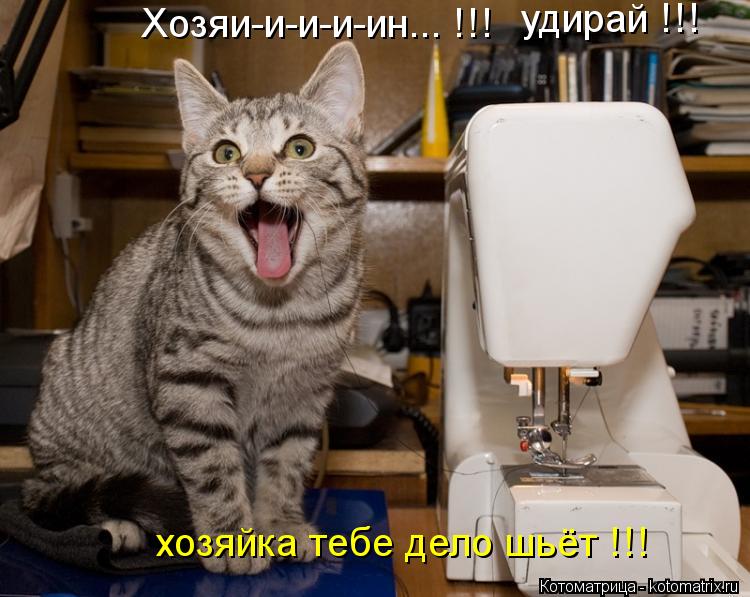 Котоматрица: Хозяи-и-и-и-ин... !!! удирай !!!  хозяйка тебе дело шьёт !!!
