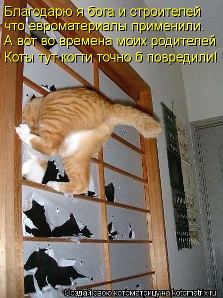 Котоматрица: Благодарю я бога и строителей   что евроматериалы применили.  А вот во времена моих родителей  Коты тут когти точно б повредили!