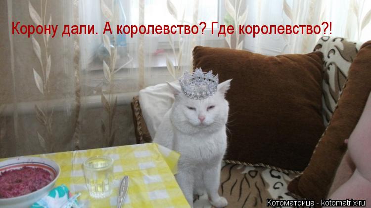 Котоматрица: Корону дали. А королевство? Где королевство?!