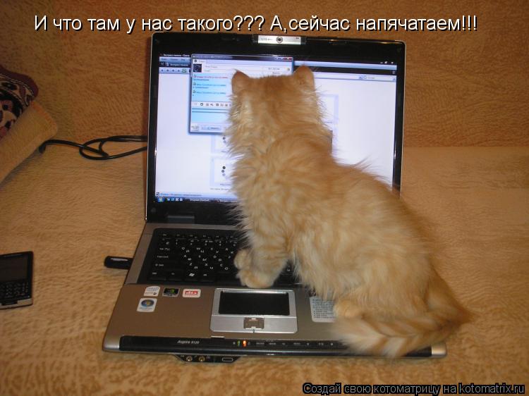 Котоматрица: И что там у нас такого??? А,сейчас напячатаем!!!