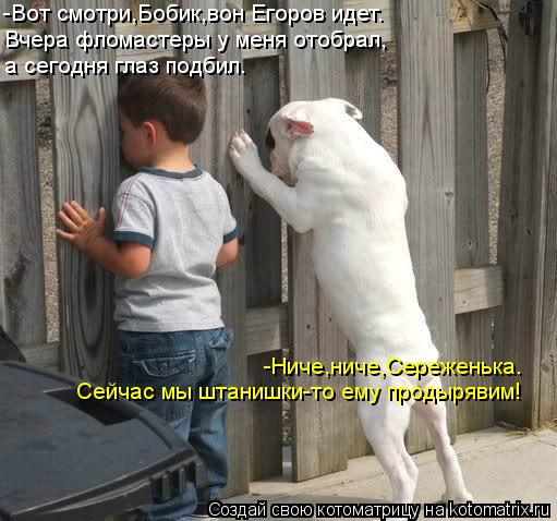 Котоматрица: Вчера фломастеры у меня отобрал, а сегодня глаз подбил. -Вот смотри,Бобик,вон Егоров идет. -Ниче,ниче,Сереженька. Сейчас мы штанишки-то ему пр