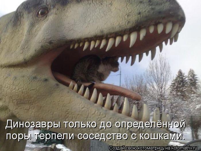 Котоматрица: Динозавры только до определённой поры терпели соседство с кошками.
