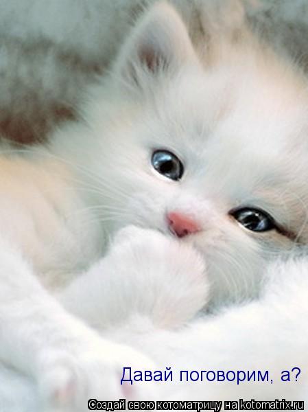 Котоматрица: Давай поговорим, а?