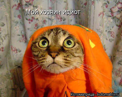 Котоматрица: Mой хозяин идиот