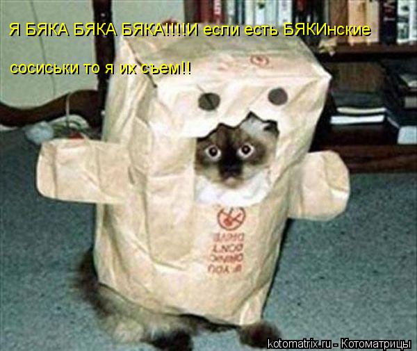 Котоматрица: Я БЯКА БЯКА БЯКА!!!!И если есть БЯКИнские  сосиськи то я их съем!!