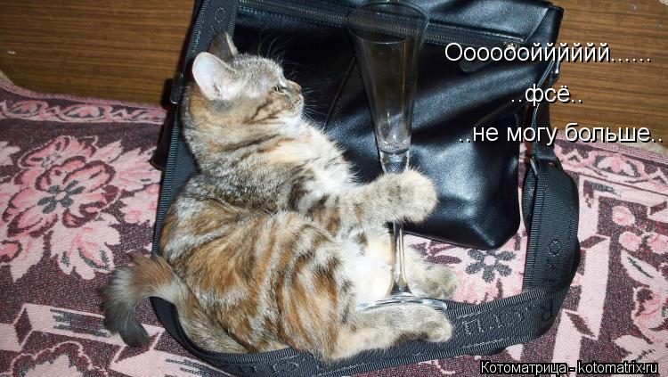 Котоматрица: Оооооойййййй...... ..не могу больше.. ..фсё..