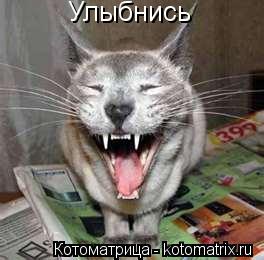 Котоматрица: Улыбнись
