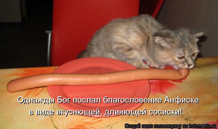 Котоматрица: Однажды Бог послал благословение Анфиске в виде вкуснющей, длинющей сосиски!