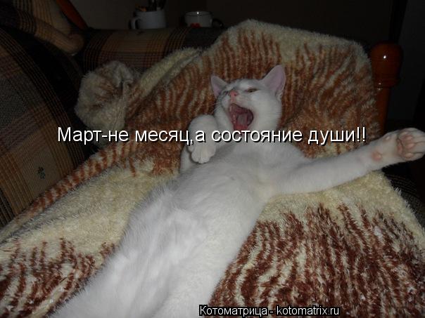 Котоматрица: Март-не месяц,а состояние души!!