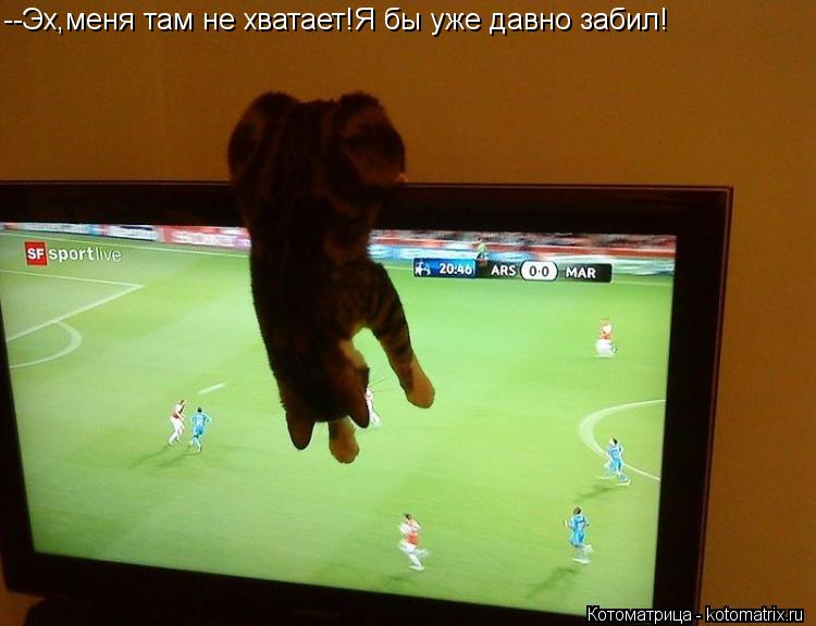 Котоматрица: --Эх,меня там не хватает!Я бы уже давно забил!