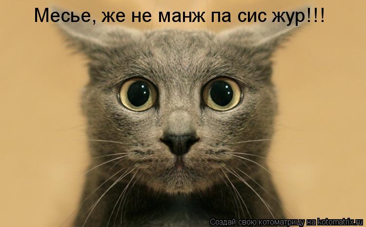 Котоматрица: Месье, же не манж па сис жур!!!