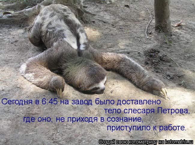 Котоматрица: Сегодня в 6:45 на завод было доставлено  тело слесаря Петрова,   где оно, не приходя в сознание,   приступило к работе.