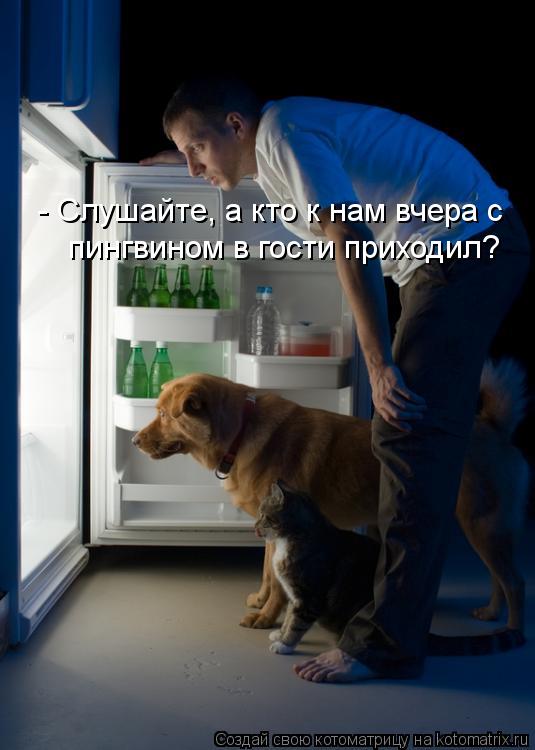 Котоматрица: - Слушайте, а кто к нам вчера с  пингвином в гости приходил?