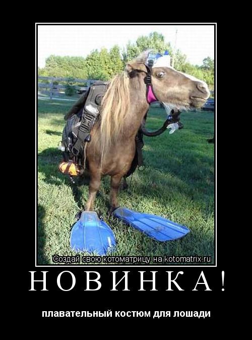 Котоматрица: НОВИНКА! плавательный костюм для лошади