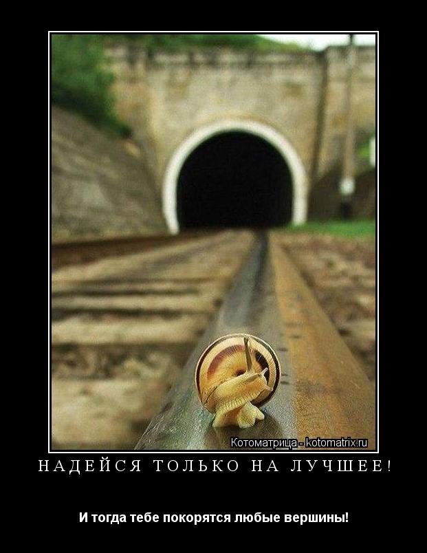 Котоматрица: Надейся только на лучшее! И тогда тебе покорятся любые вершины!