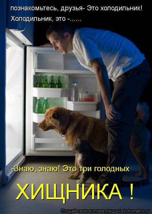 Котоматрица: познакомьтесь, друзья- Это холодильник! Холодильник, это -...... -Знаю, знаю! Это три голодных ХИЩНИКА !