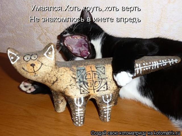 Умаялся.Хоть круть,хоть верть Не знакомлюсь в инете впредь... Котоматрица: Умаялся.Хоть круть,хоть верть Не знакомлюсь в инете впредь