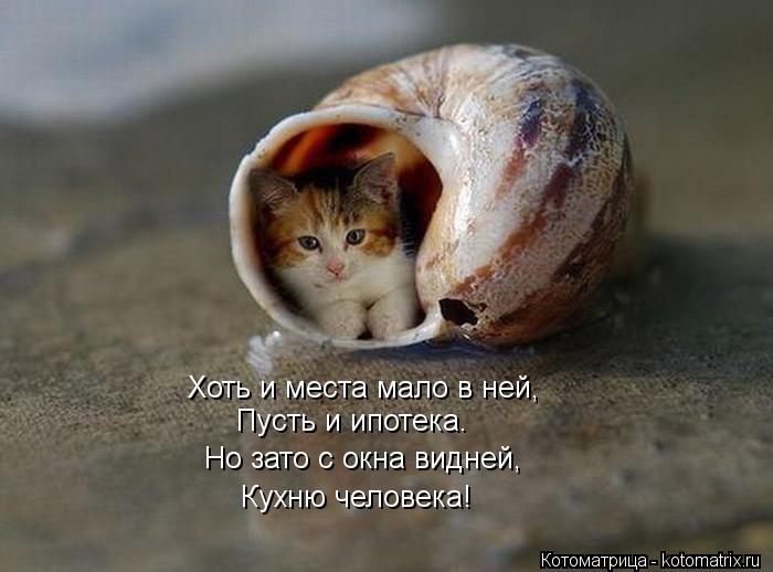 Котоматрица: Хоть и места мало в ней, Но зато с окна видней, Пусть и ипотека. Кухню человека!