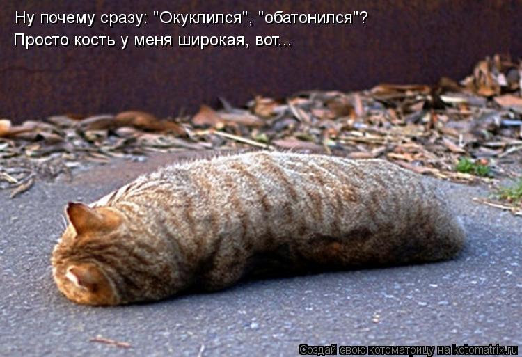Котоматрица: Ну почему сразу: "Окуклился", "обатонился"? Просто кость у меня широкая, вот...