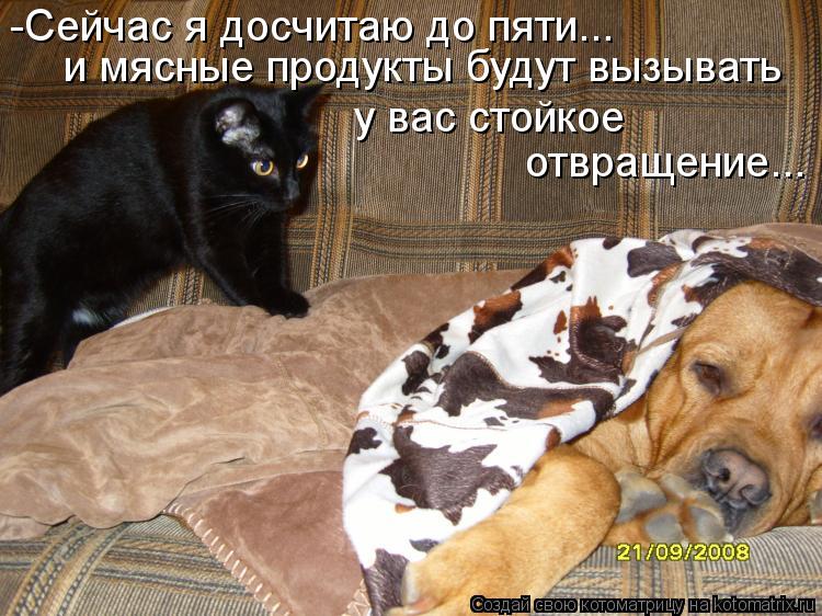 Котоматрица: -Сейчас я досчитаю до пяти...  и мясные продукты будут вызывать  у вас стойкое отвращение...