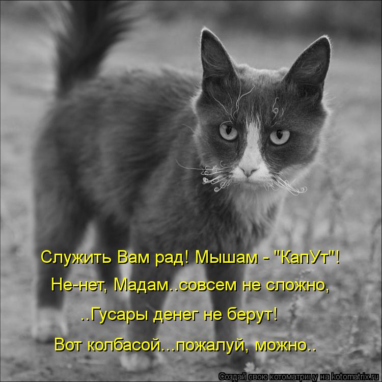 Служить Вам рад! Мышам - "КапУт"! Не-нет, Мадам..совсем не сложно, ..Гусары денег не берут! Вот колба... Котоматрица: Служить Вам рад! Мышам - "КапУт"! Не-нет, Мадам..совсем не сложно, ..Гусары денег не берут! Вот колбасой...пожалуй, можно..