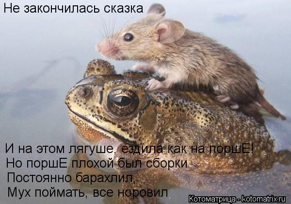 Котоматрица: Не закончилась сказка И на этом лягуше, ездила как на поршЕ! Но поршЕ плохой был сборки Постоянно барахлил, Мух поймать, все норовил