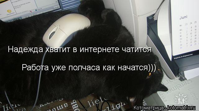Котоматрица: Надежда хватит в интернете чатится  Работа уже полчаса как начатся)))