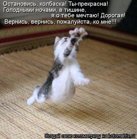 Котоматрица: Остановись, колбаска! Ты-прекрасна! я о тебе мечтаю! Дорогая! Вернись, вернись, пожалуйста, ко мне!!! Голодными ночами, в тишине,
