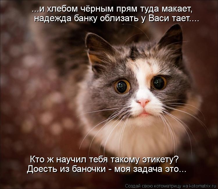 Доесть из баночки - моя задача это... ...и хлебом чёрным прям туда макает, надежда банку облизать у В... Котоматрица: Доесть из баночки - моя задача это... ...и хлебом чёрным прям туда макает, надежда банку облизать у Васи тает.... Кто ж научил тебя такому этикет
