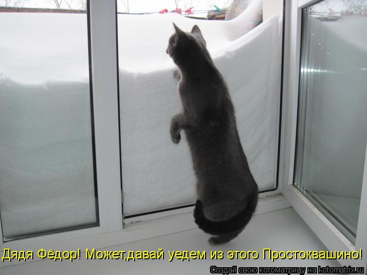 Котоматрица: Дядя Фёдор! Может,давай уедем из этого Простоквашино!
