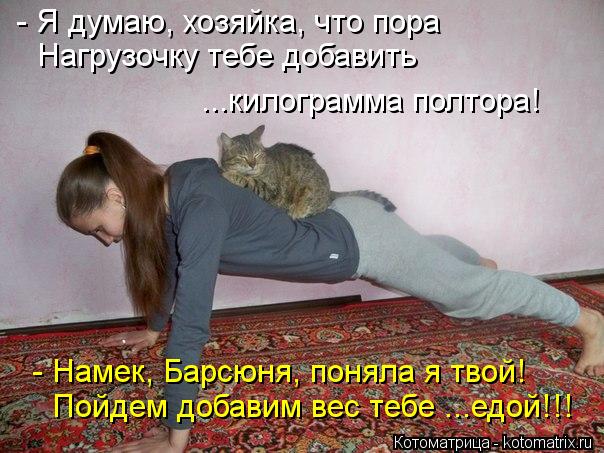 Котоматрица: - Я думаю, хозяйка, что пора Нагрузочку тебе добавить ...килограмма полтора! - Намек, Барсюня, поняла я твой! Пойдем добавим вес тебе ...едой!!!