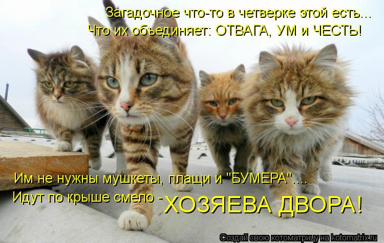 Котоматрица: Загадочное что-то в четверке этой есть... Что их объединяет: ОТВАГА, УМ и ЧЕСТЬ! Им не нужны мушкеты, плащи и "БУМЕРА".... Идут по крыше смело -  ХО