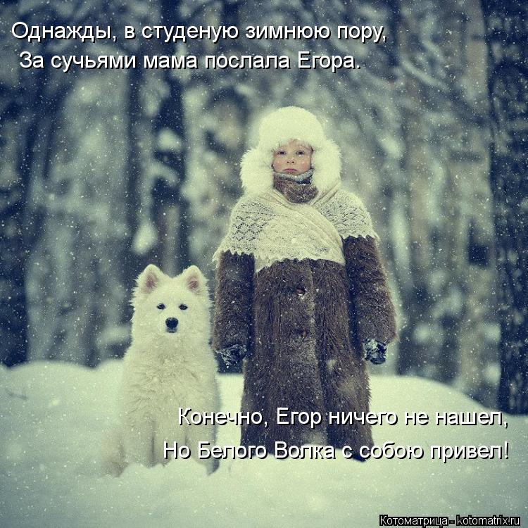 Котоматрица: За сучьями мама послала Егора. Однажды, в студеную зимнюю пору, Конечно, Егор ничего не нашел, Но Белого Волка с собою привел!