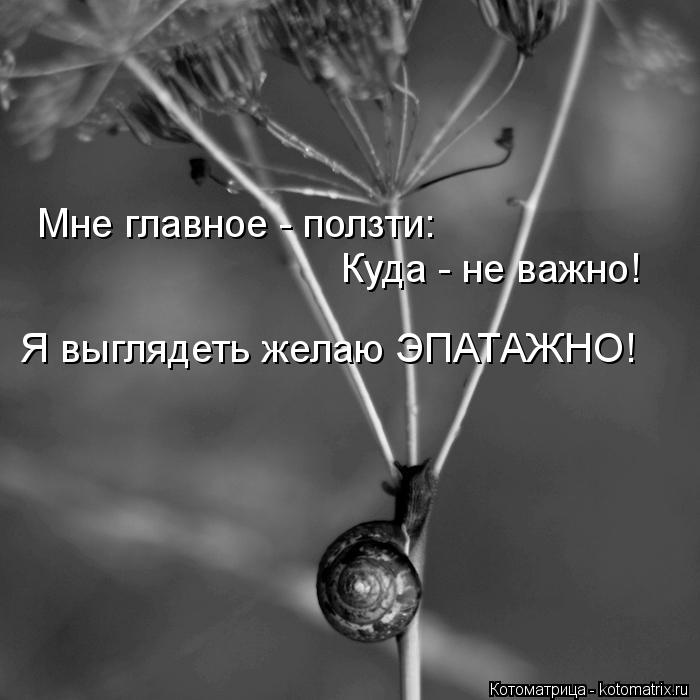 Котоматрица: Мне главное - ползти:  Куда - не важно! Я выглядеть желаю ЭПАТАЖНО!