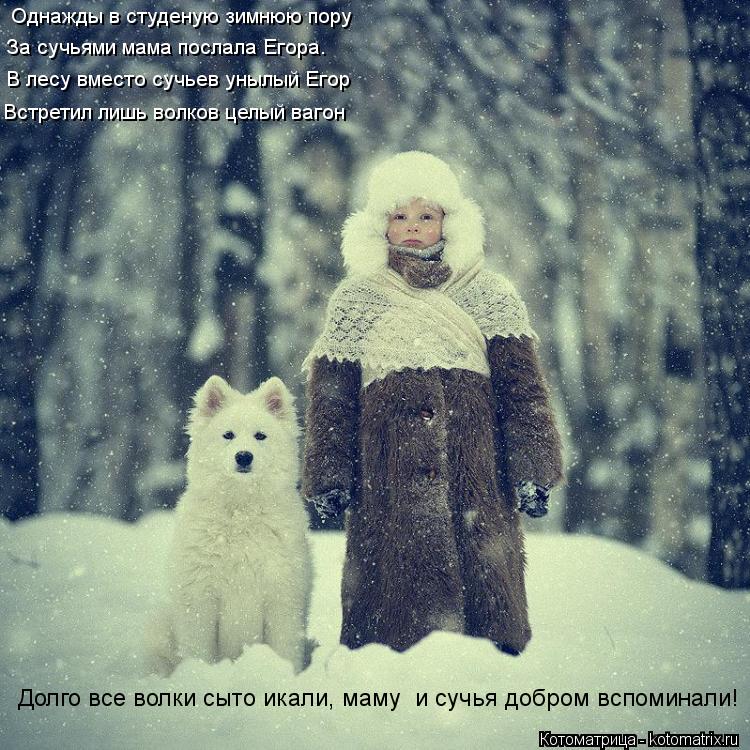 Однажды в студеную зимнюю пору За сучьями мама послала Егора. В лесу вместо сучьев унылый Егор Встрет... Котоматрица: Однажды в студеную зимнюю пору За сучьями мама послала Егора. В лесу вместо сучьев унылый Егор Встретил лишь волков целый вагон Долго все в