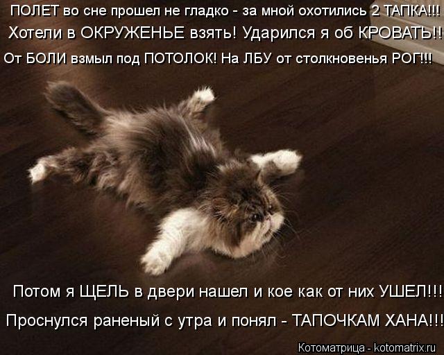 ПОЛЕТ во сне прошел не гладко - за мной охотились 2 ТАПКА!!! Хотели в ОКРУЖЕНЬЕ взять! Ударился я об ... Котоматрица: ПОЛЕТ во сне прошел не гладко - за мной охотились 2 ТАПКА!!! Хотели в ОКРУЖЕНЬЕ взять! Ударился я об КРОВАТЬ!!! От БОЛИ взмыл под ПОТОЛОК! На ЛБУ