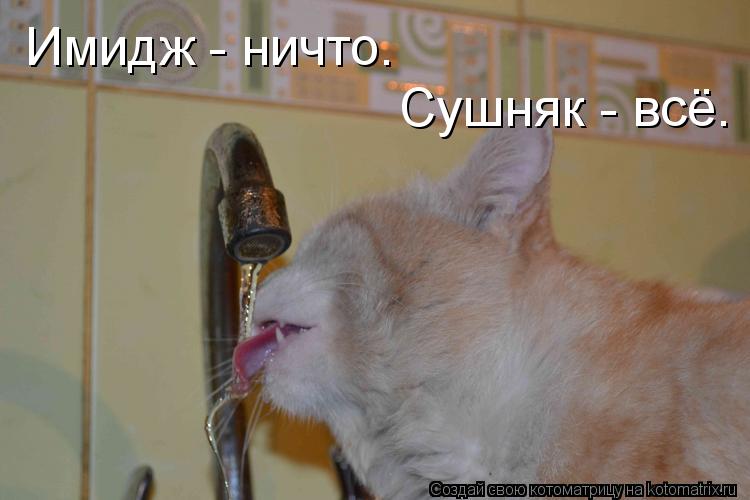 Открытка с похмельем тебя Открытка с похмельем тебя