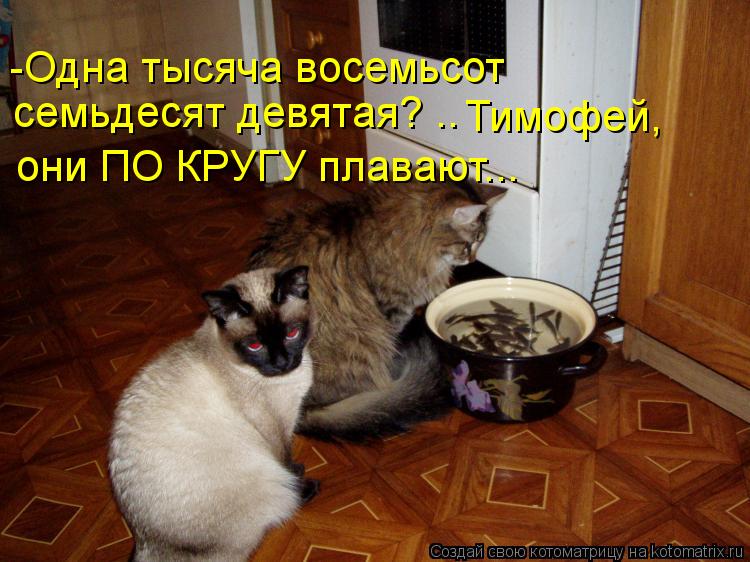 -Одна тысяча восемьсот семьдесят девятая? .. Тимофей, они ПО КРУГУ плавают...... Котоматрица: -Одна тысяча восемьсот семьдесят девятая? .. Тимофей, они ПО КРУГУ плавают...