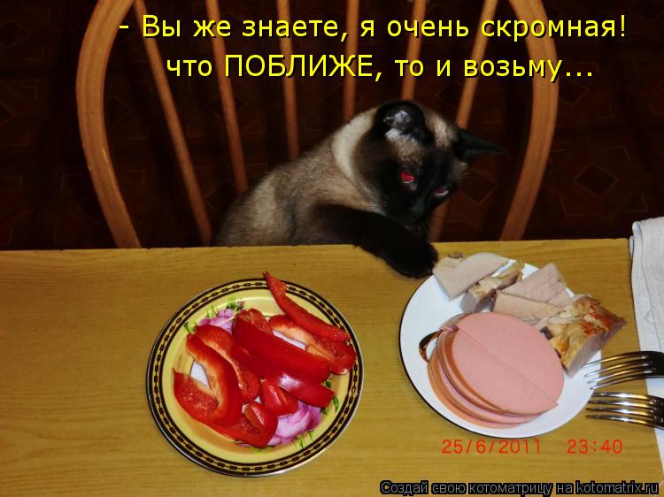 Котоматрица: - Вы же знаете, я очень скромная! что ПОБЛИЖЕ, то и возьму...