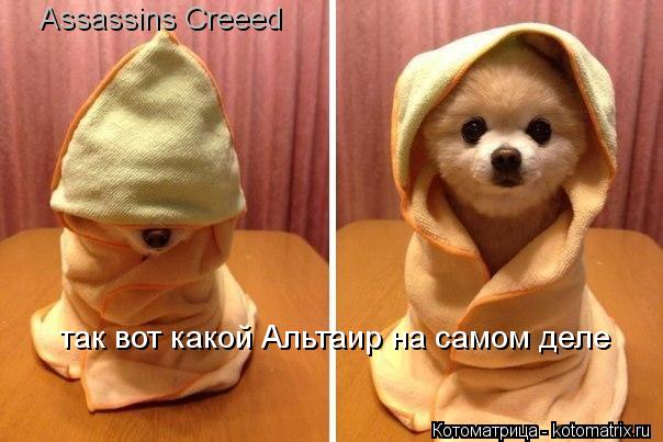 Котоматрица: Assassins Creeed так вот какой Альтаир на самом деле