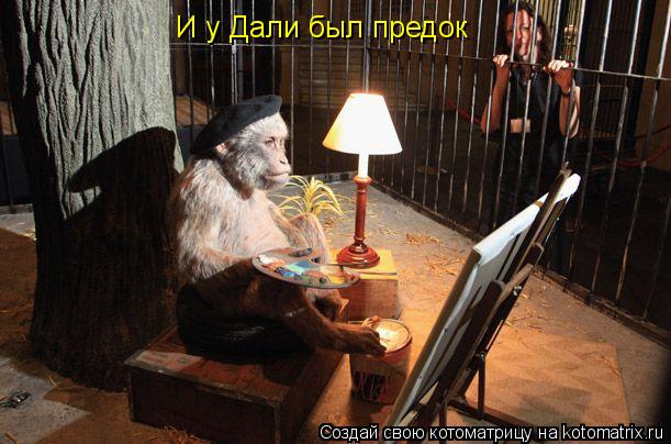 Котоматрица: И у Дали был предок